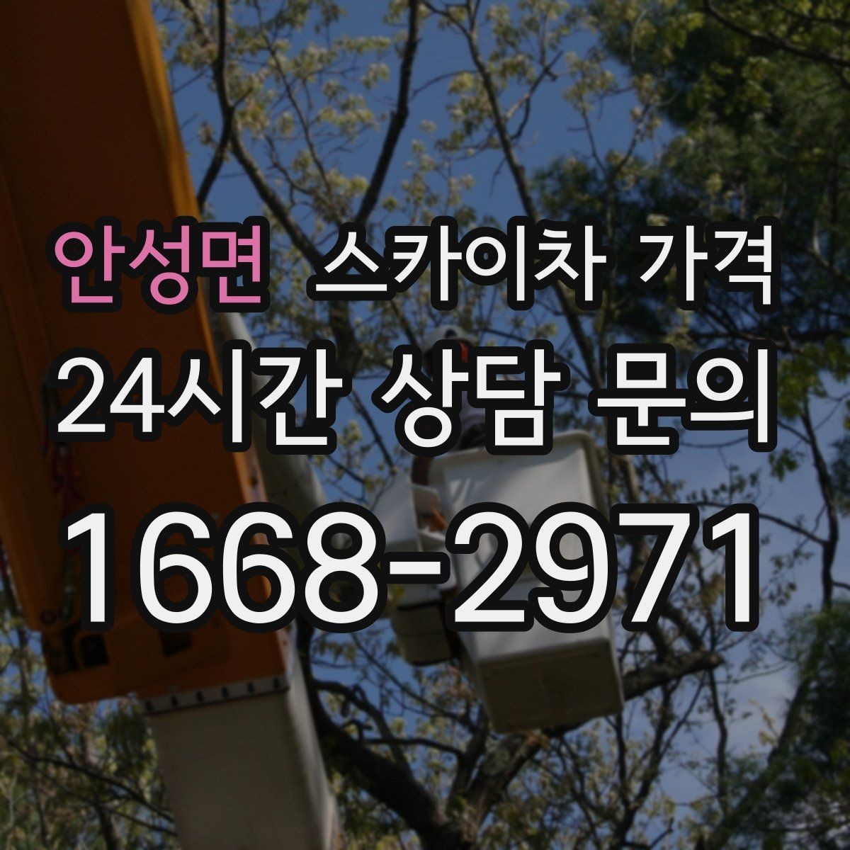 안성면 스카이차 가격 간판 전원 점검은 어디까지 포함될까
