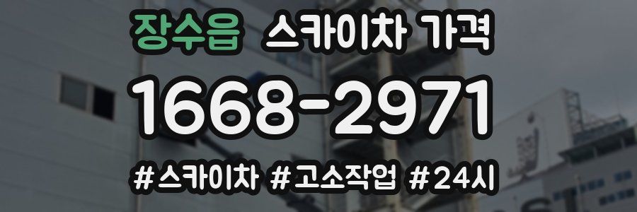 장수읍 스카이차 가격