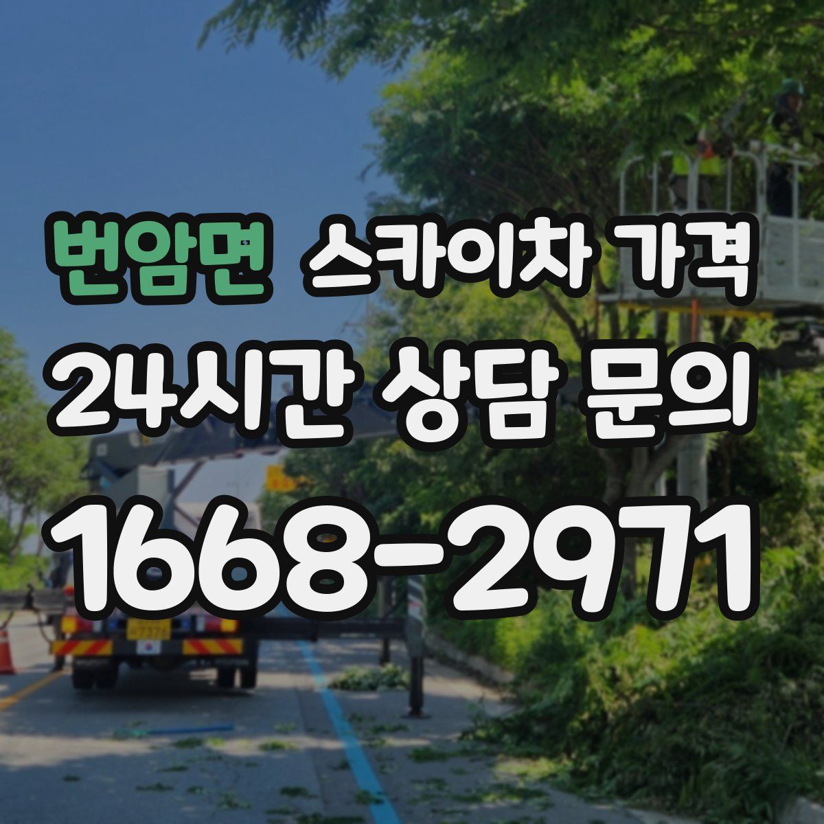 번암면 스카이차 가격