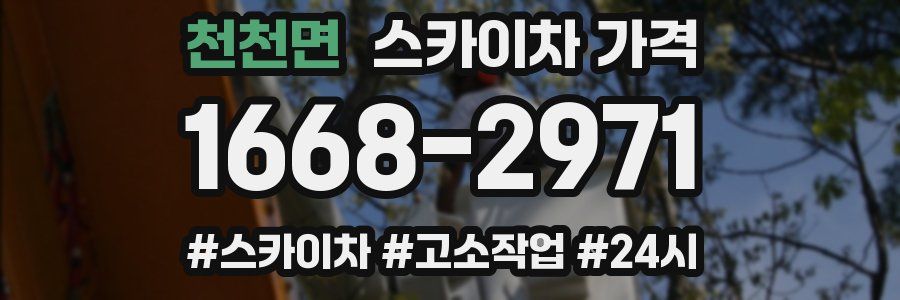 천천면 스카이차 가격