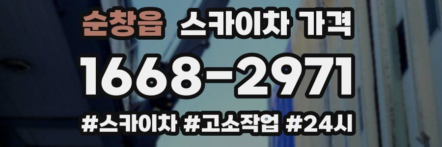 순창읍 스카이차 가격