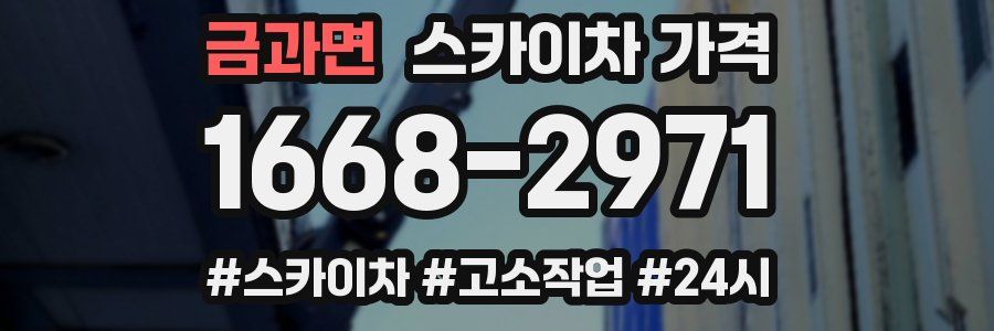 금과면 스카이차 가격