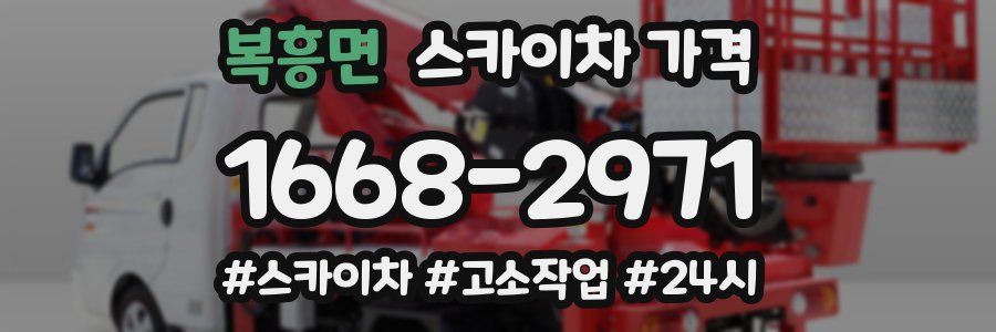 복흥면 스카이차 가격