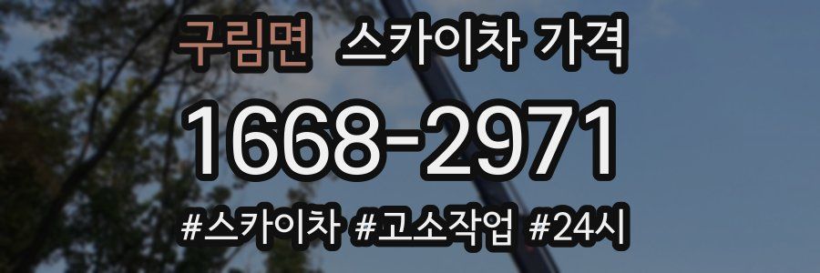 구림면 스카이차 가격