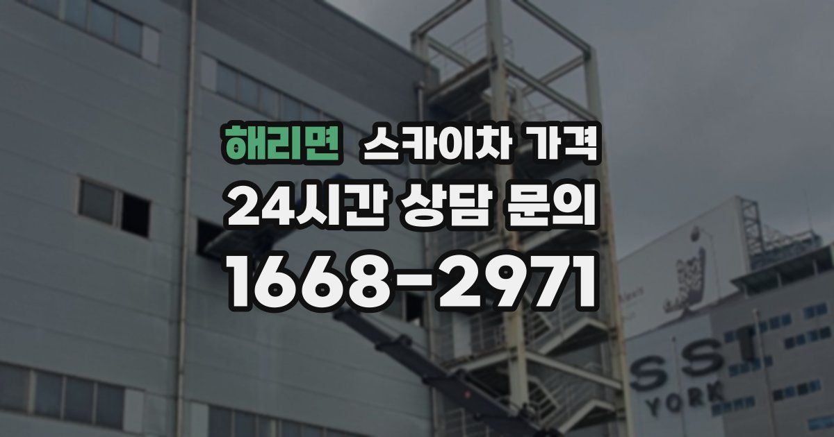 해리면 스카이차 가격