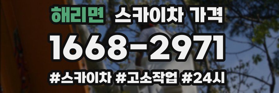 해리면 스카이차 가격