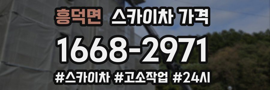 흥덕면 스카이차 가격