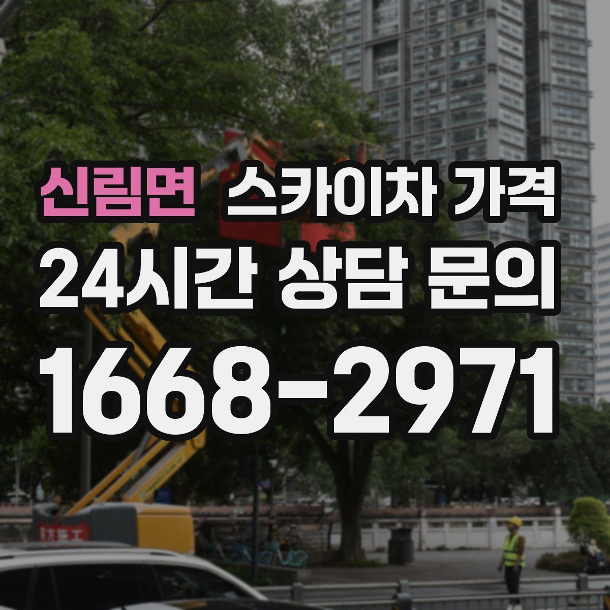 신림면 스카이차 가격