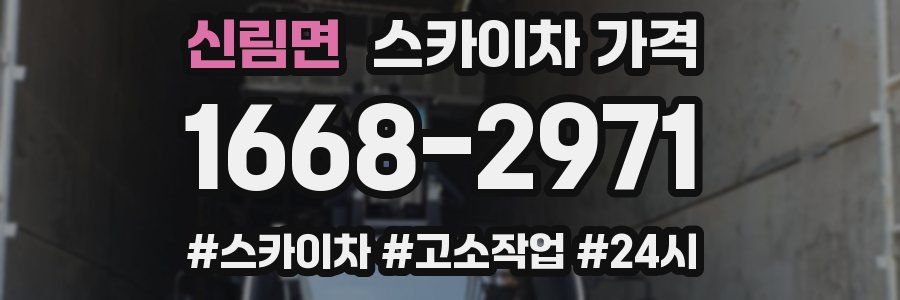 신림면 스카이차 가격