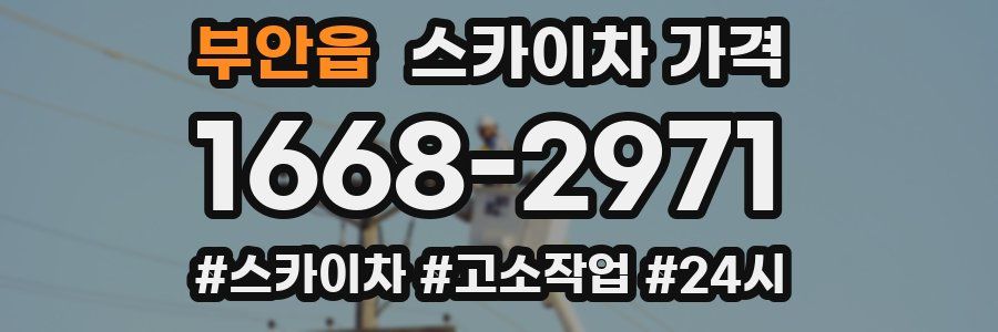 부안읍 스카이차 가격