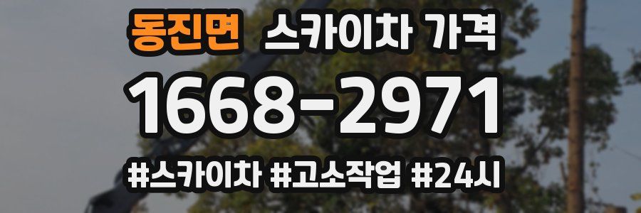 동진면 스카이차 가격