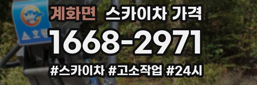 계화면 스카이차 가격