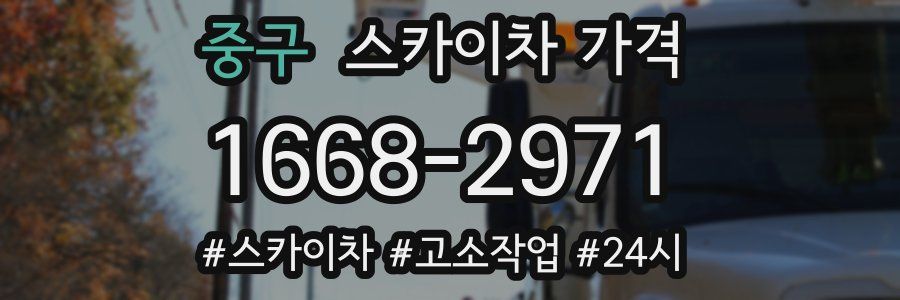 중구 스카이차 가격