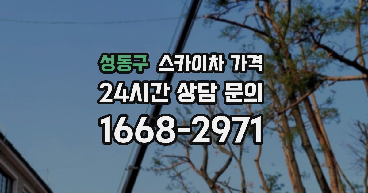 성동구 스카이차 가격