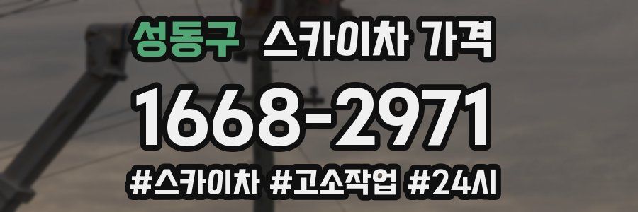 성동구 스카이차 가격