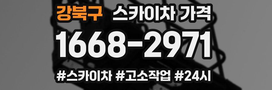 강북구 스카이차 가격