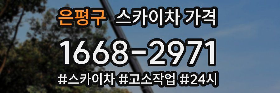 은평구 스카이차 가격