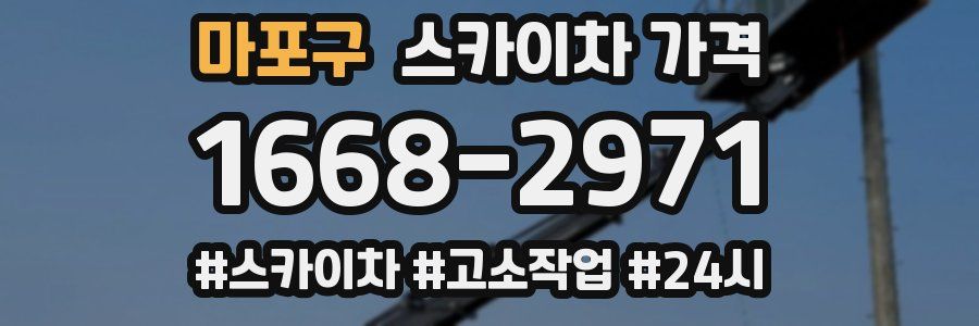 마포구 스카이차 가격