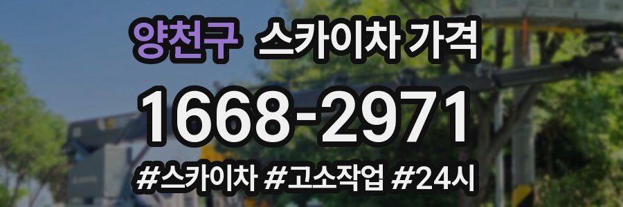 양천구 스카이차 가격