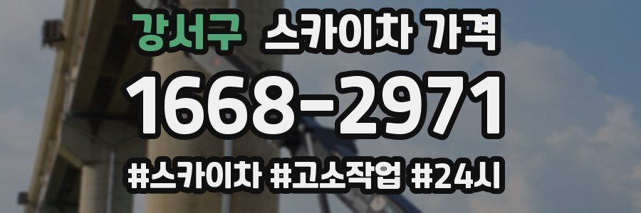 강서구 스카이차 가격