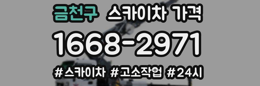 금천구 스카이차 가격