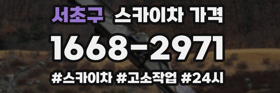 서초구 스카이차 가격