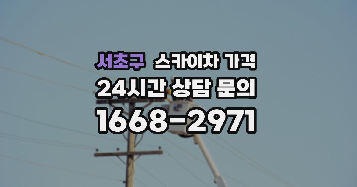 서초구 스카이차 가격