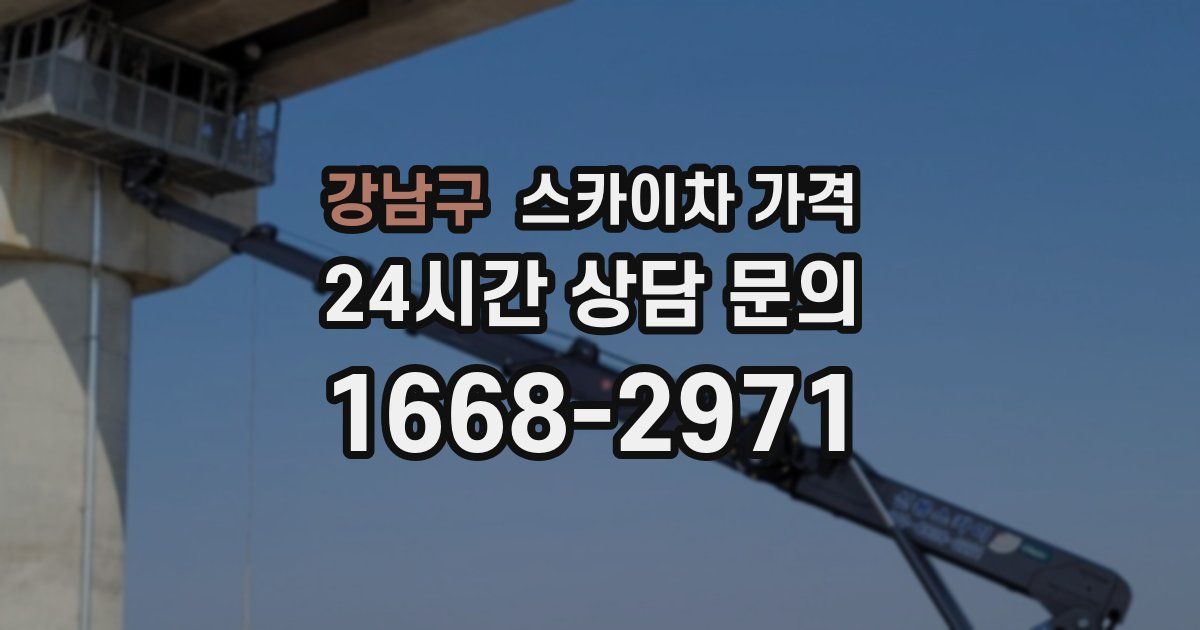 강남구 스카이차 가격