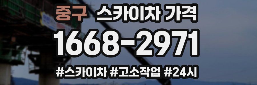 중구 스카이차 가격