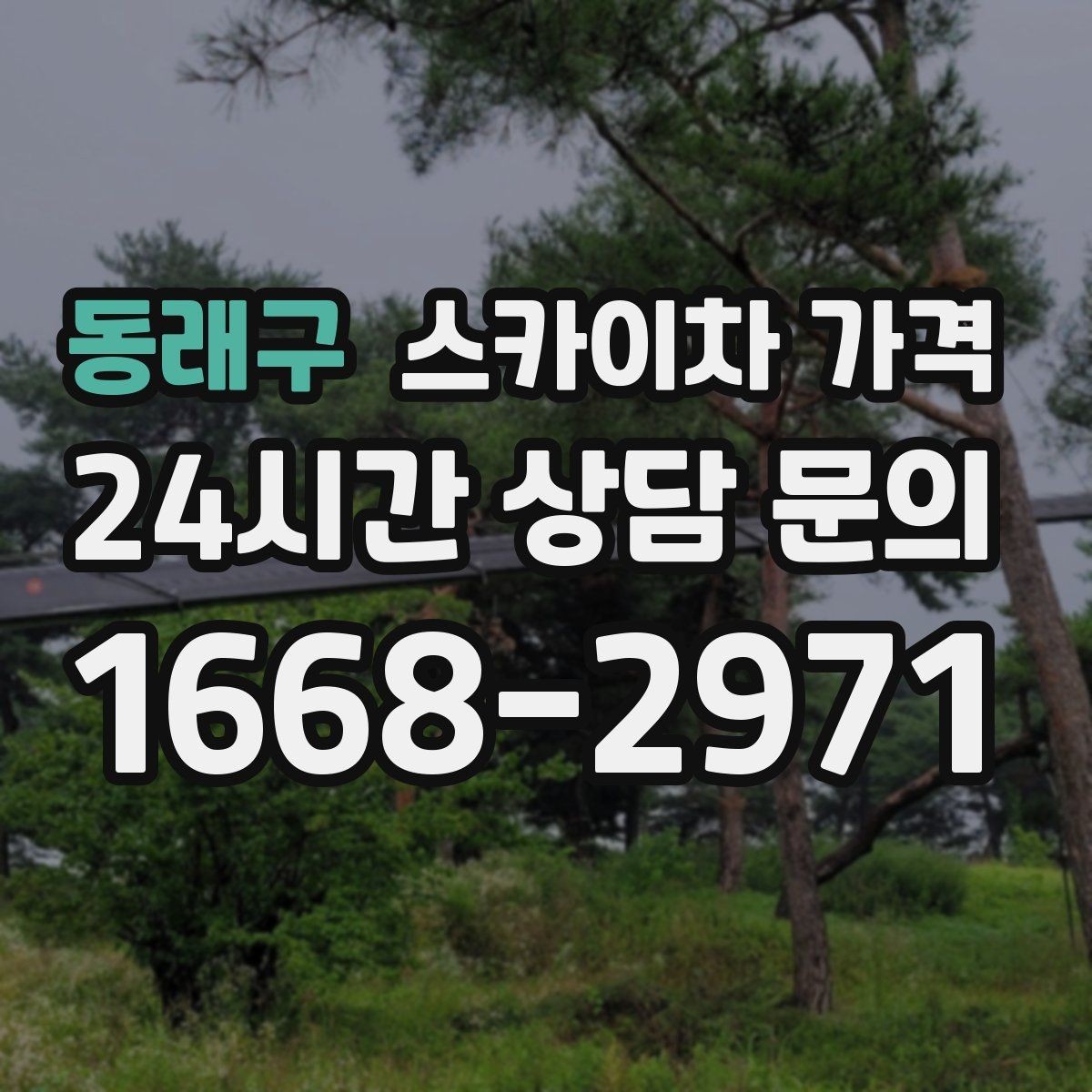 동래구 스카이차 가격 단속 구역 현장은 어떤 점을 확인해야 할까