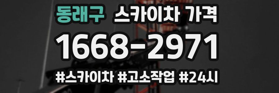 동래구 스카이차 가격