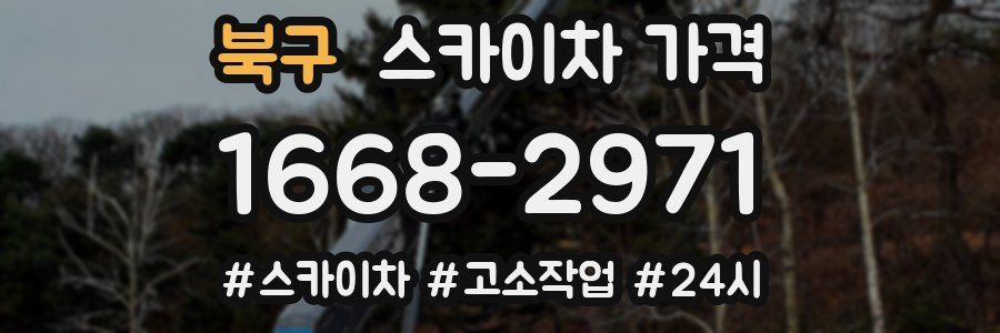 북구 스카이차 가격