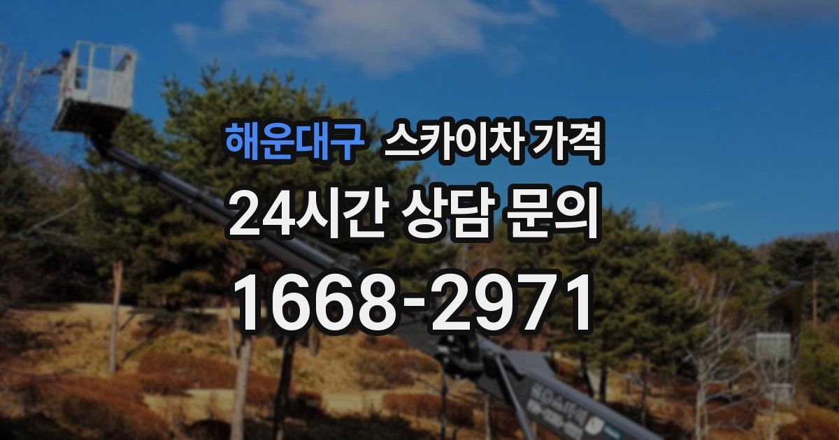 해운대구 스카이차 가격