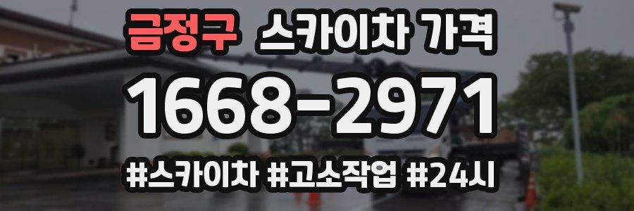 금정구 스카이차 가격