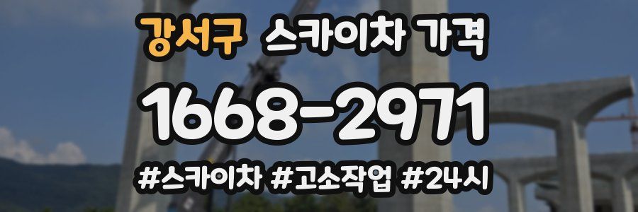 강서구 스카이차 가격