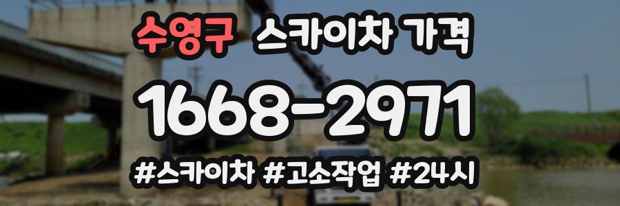 수영구 스카이차 가격