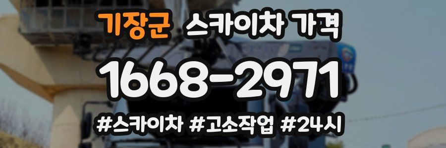 기장군 스카이차 가격