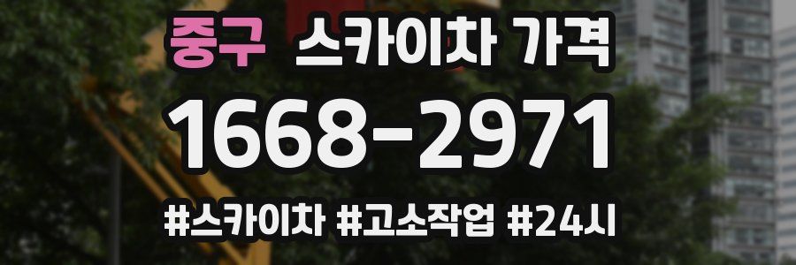 중구 스카이차 가격