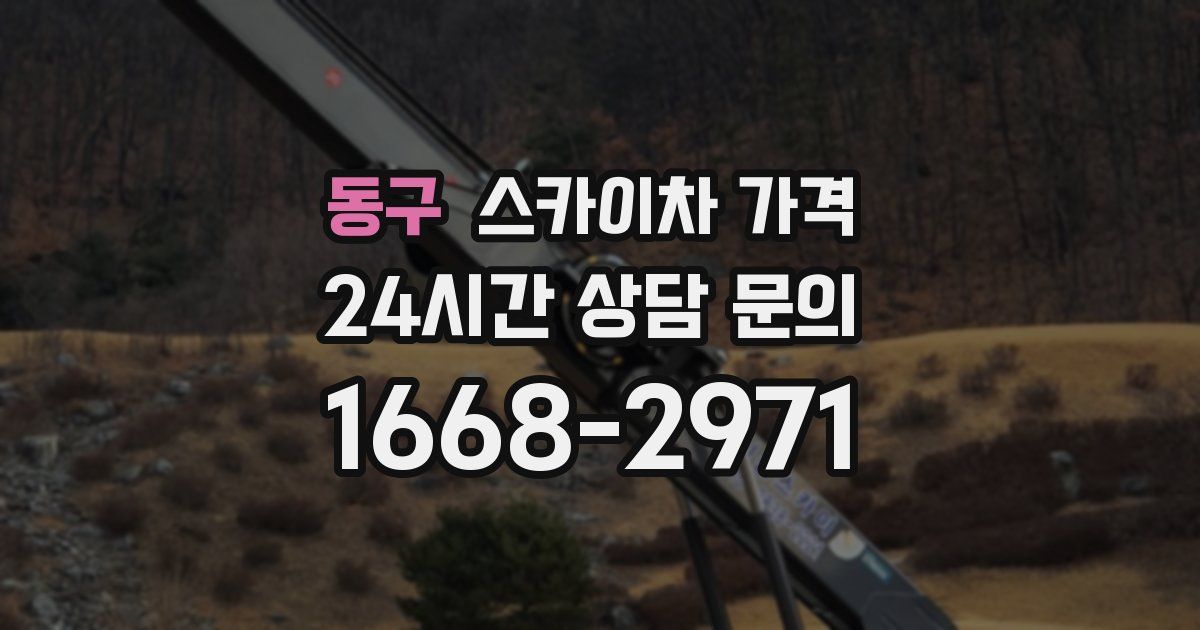 동구 스카이차 가격