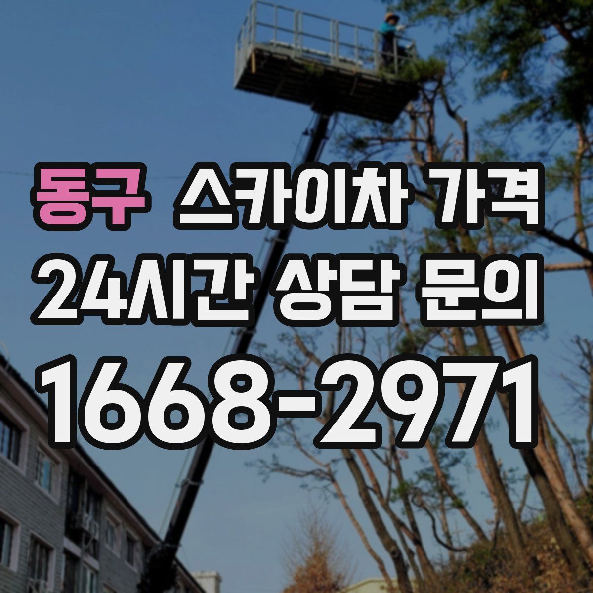 동구 스카이차 가격