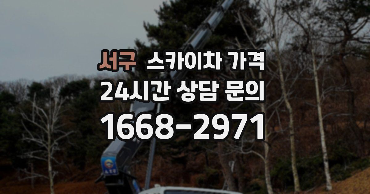 서구 스카이차 가격