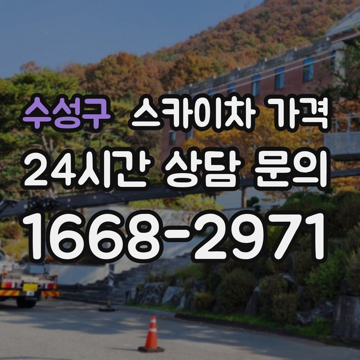 수성구 스카이차 가격 나무 전지 작업은 가지 위치가 변수가 됩니다