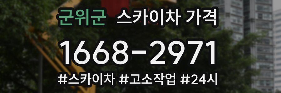 군위군 스카이차 가격