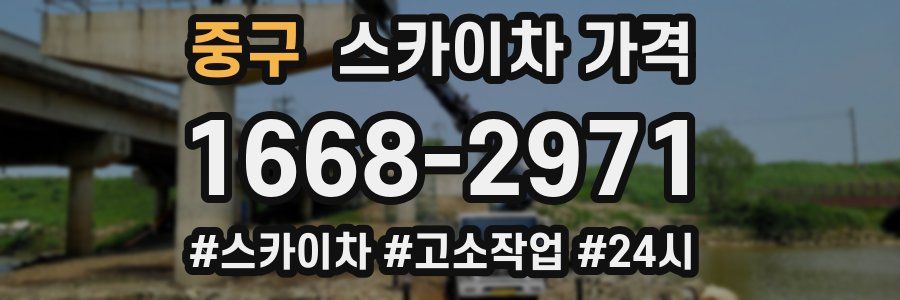 중구 스카이차 가격