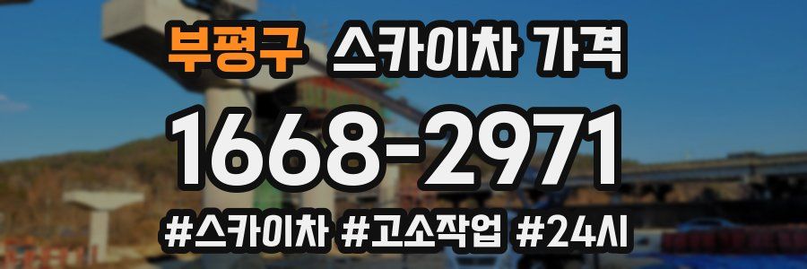 부평구 스카이차 가격