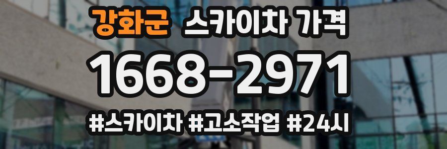 강화군 스카이차 가격