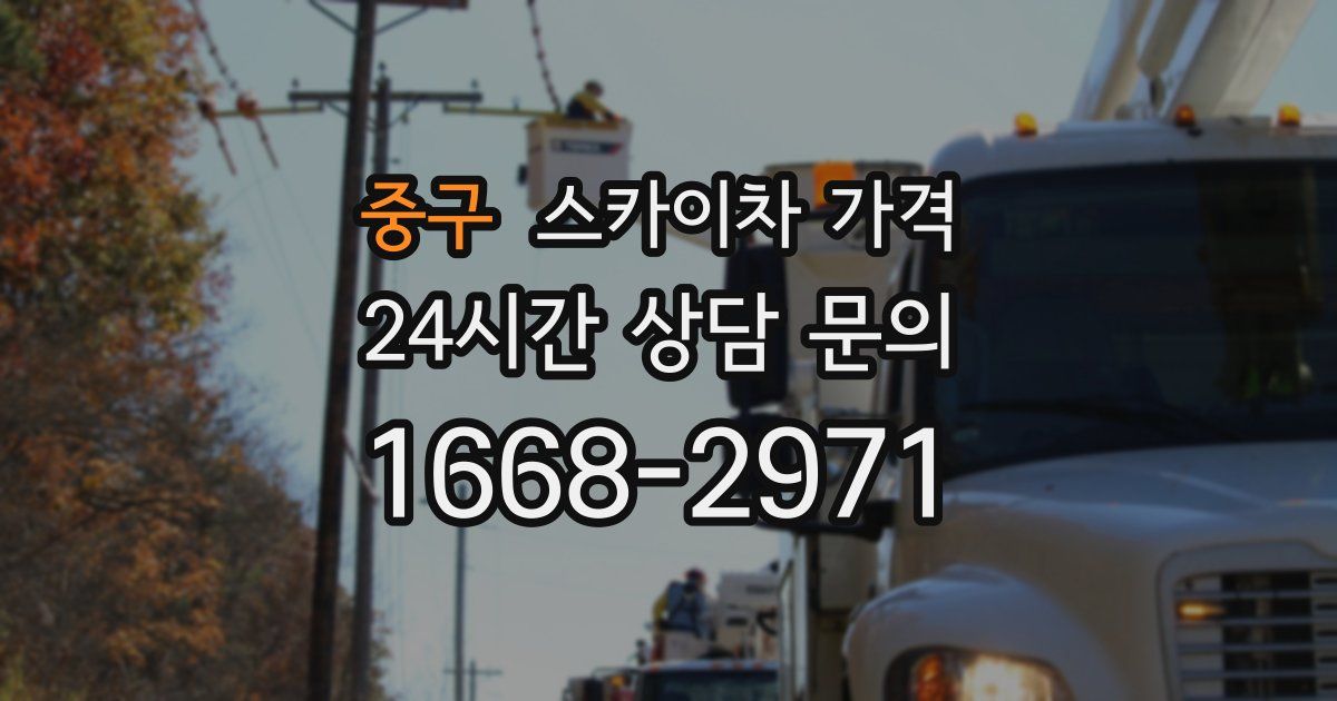 중구 스카이차 가격