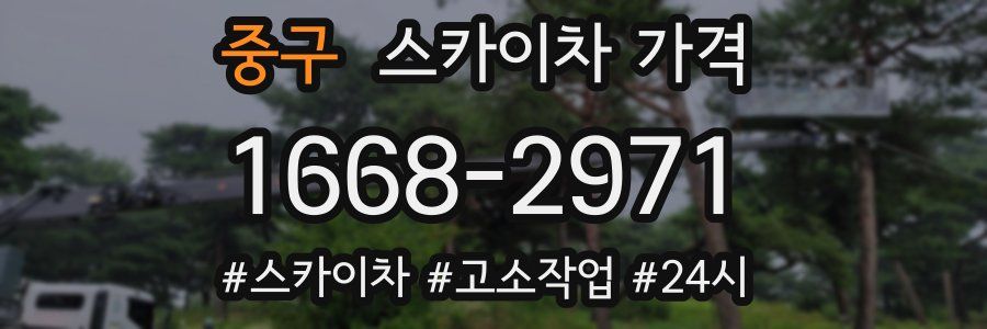 중구 스카이차 가격