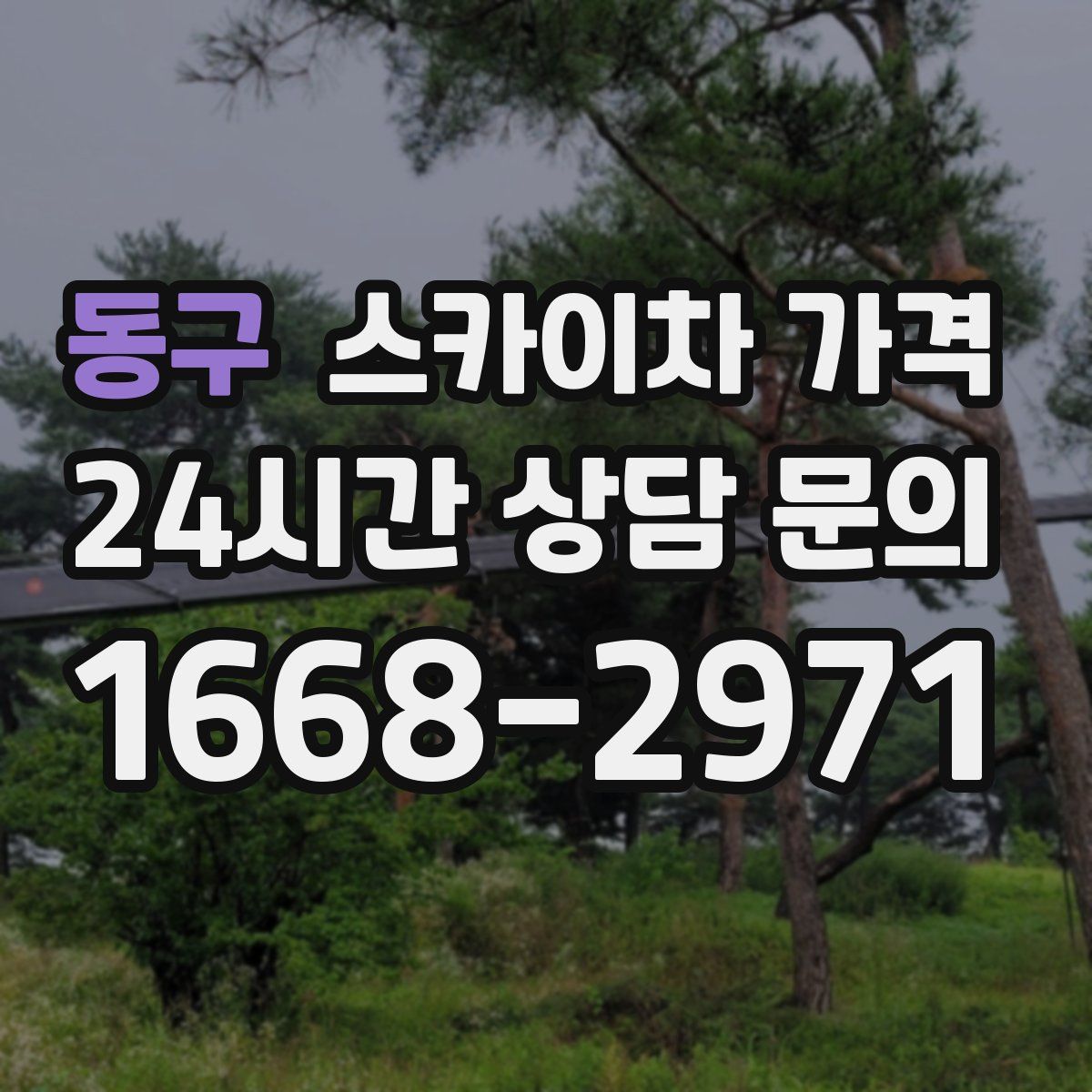 동구 스카이차 가격