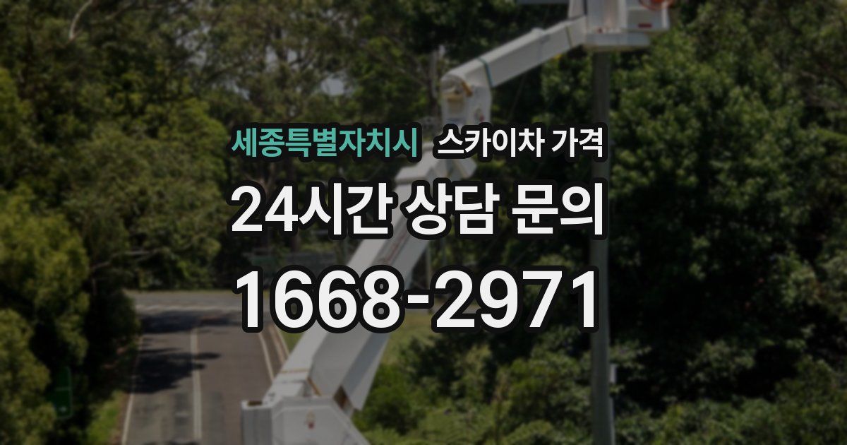 세종특별자치시 스카이차 가격